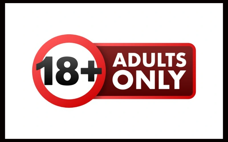 Adult access option for IPTV Subscription USA with Fire Stick and secure 18+ streaming – part of IPTV Reseller Program